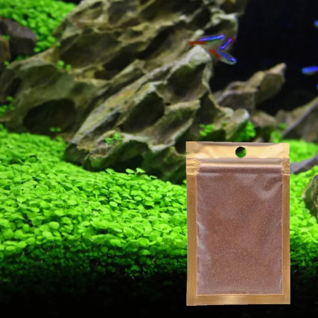 AquaPlant Aquatic Grass seeds image 2
