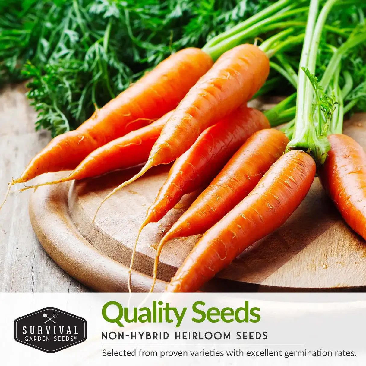 EdenSeeds Heirloom Carrot seeds image 2