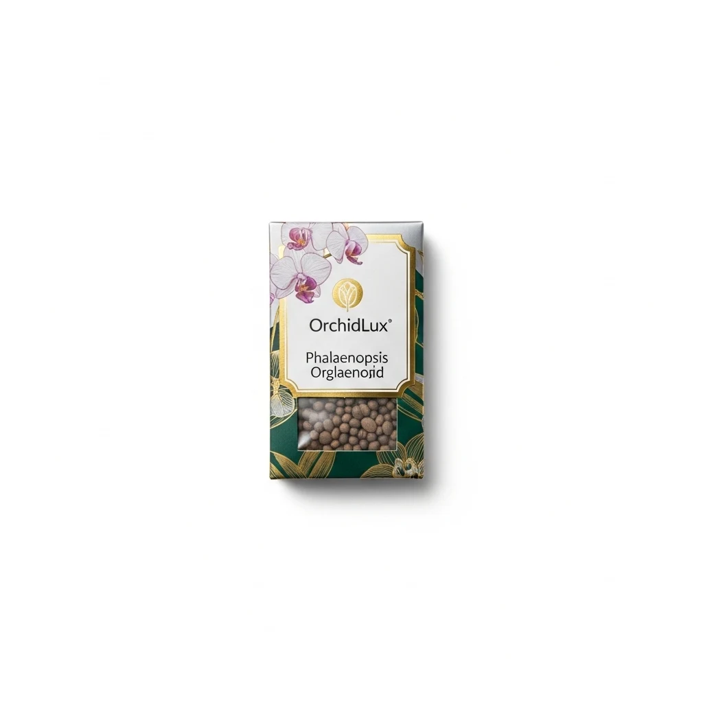 OrchidLux Phalaenopsis Orchid seeds image 3