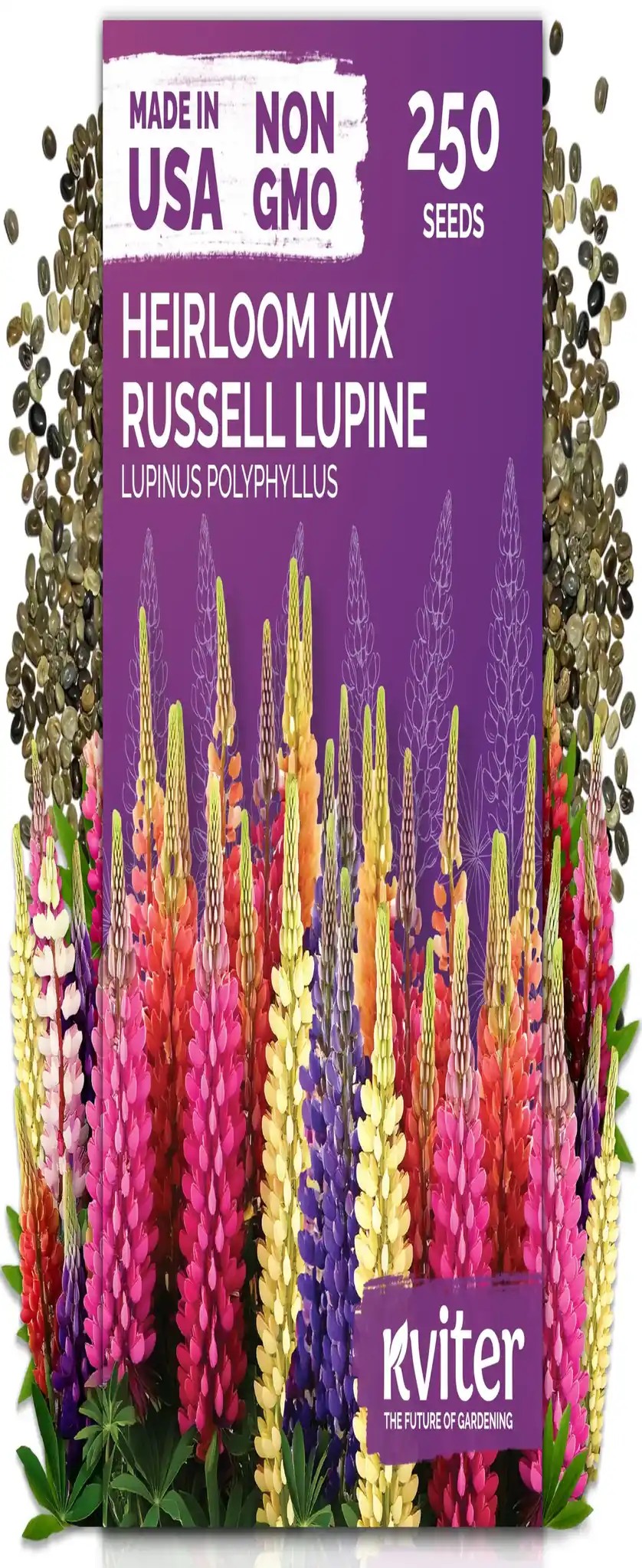 PrimaSeed Lupine seeds image 3